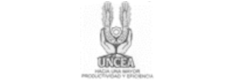 Unión de Crédito Ejidal Agropecuaria e Industrial del Municipio de Angostura, S. A. de C. V.
