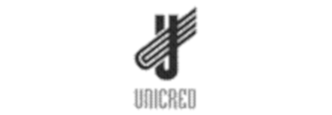 Unión de Crédito del Sur de Jalisco, S. A. de C. V.